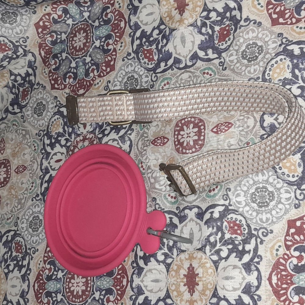 Vibrant Life Dog Collar XL and Messy Mutts Travel Bowl - Picture 3 of 6